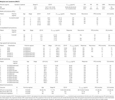 Rituximab Concentration Varies in Patients With Different Lymphoma Subtypes and Correlates With Clinical Outcome